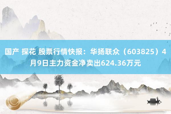 国产 探花 股票行情快报：华扬联众（603825）4月9日主力资金净卖出624.36万元